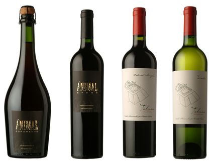 selection vin